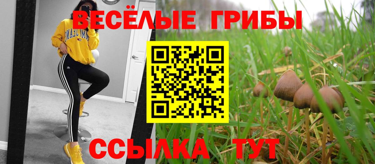 дарнет шоп  Вход с VPN  Нижнекамск  Псилоцибиновые грибы MAGIC MUSHROOMS 